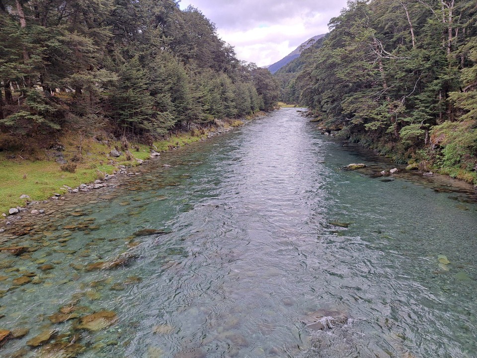 Neuseeland - Greenstone - 