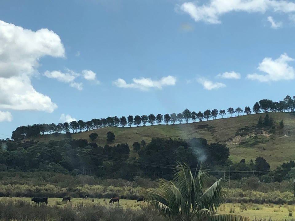Neuseeland - Karikari Peninsula - 