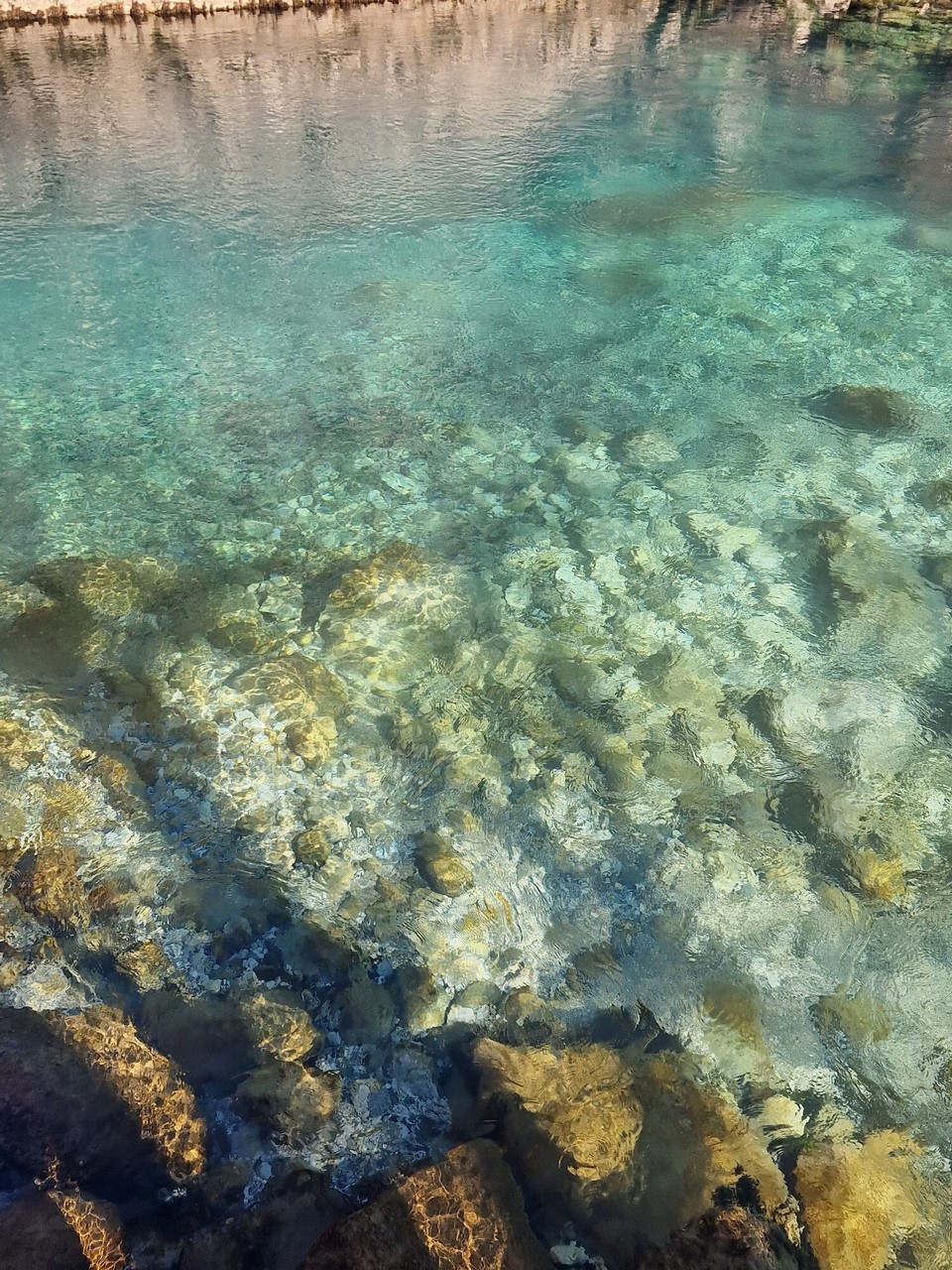 Griechenland - Vikos - …glasklares Wasser