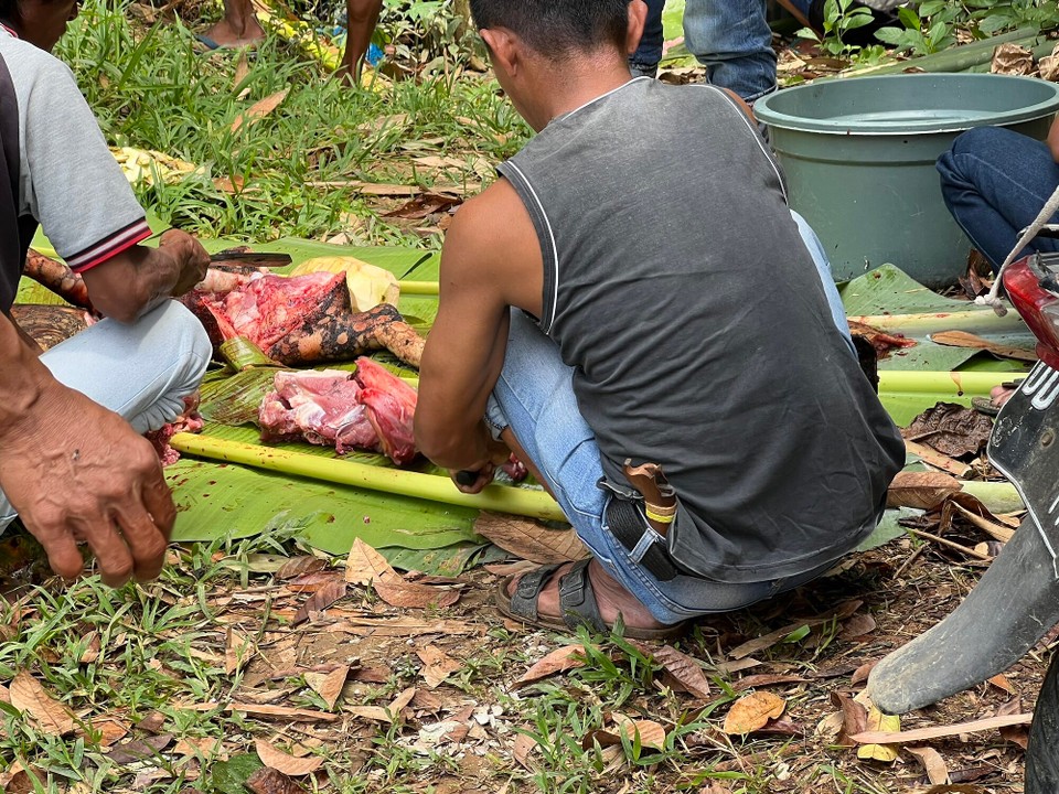 Indonesien - North Toraja Regency - 