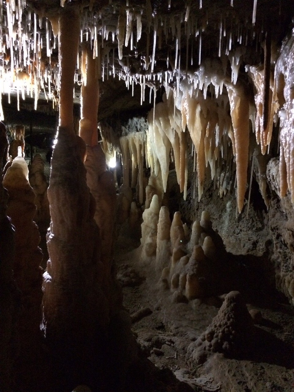 Australia -  - Buchan Caves. So many beautiful and incredible formations!