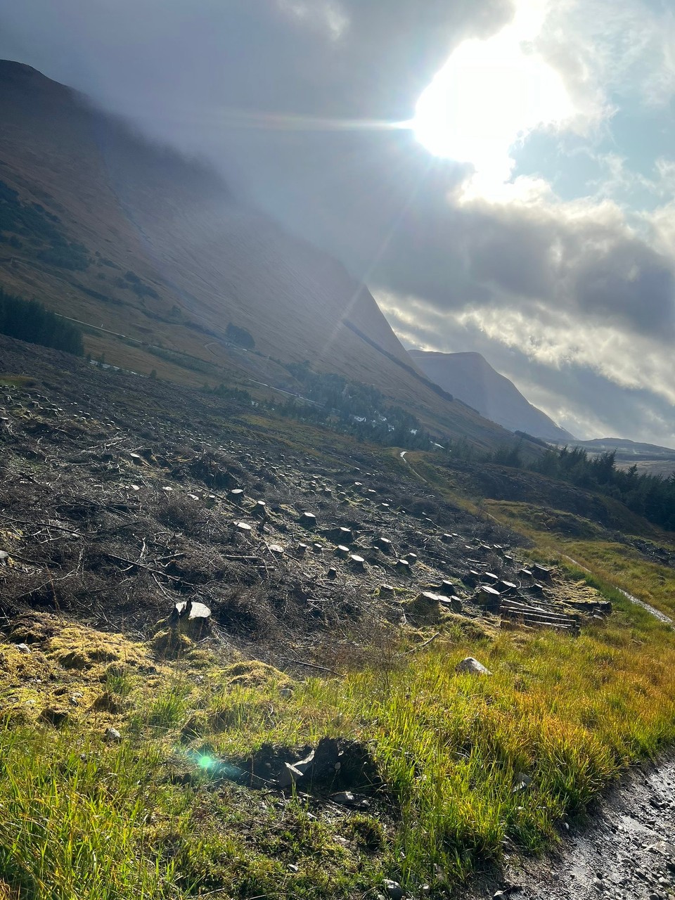 Vereinigtes Königreich - Taynuilt - 