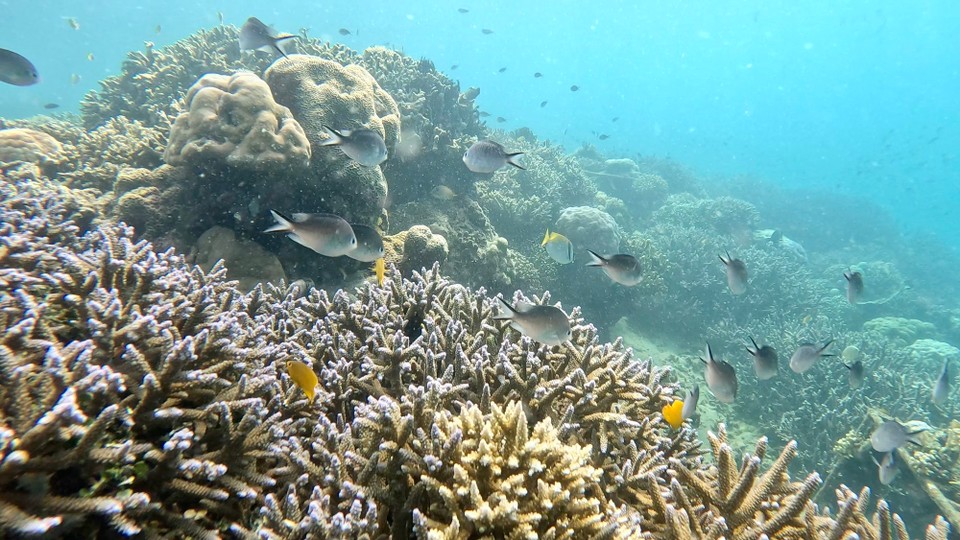 Indonesien - Kabupaten Lombok Barat - 