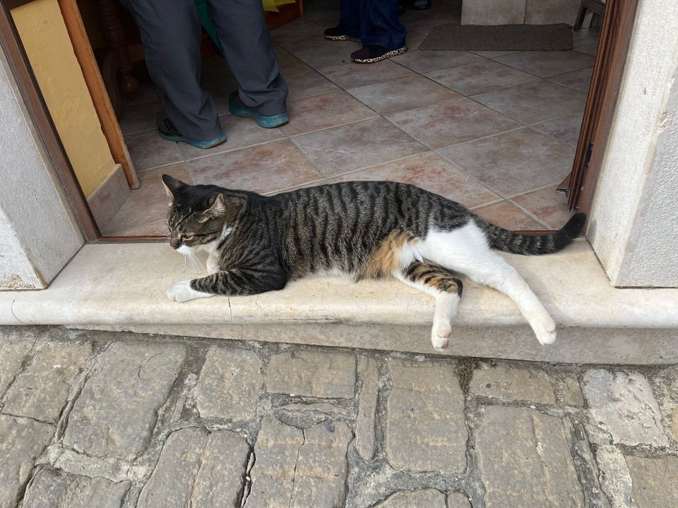 Kroatien - Motovun - 