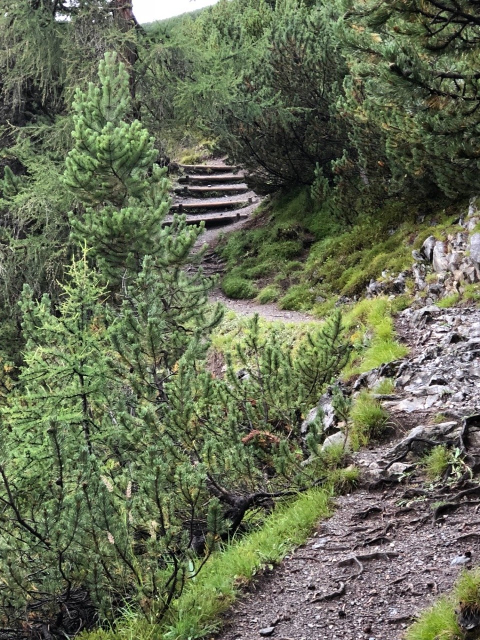 Station 4 -  - Unser Weg nach Zernez 