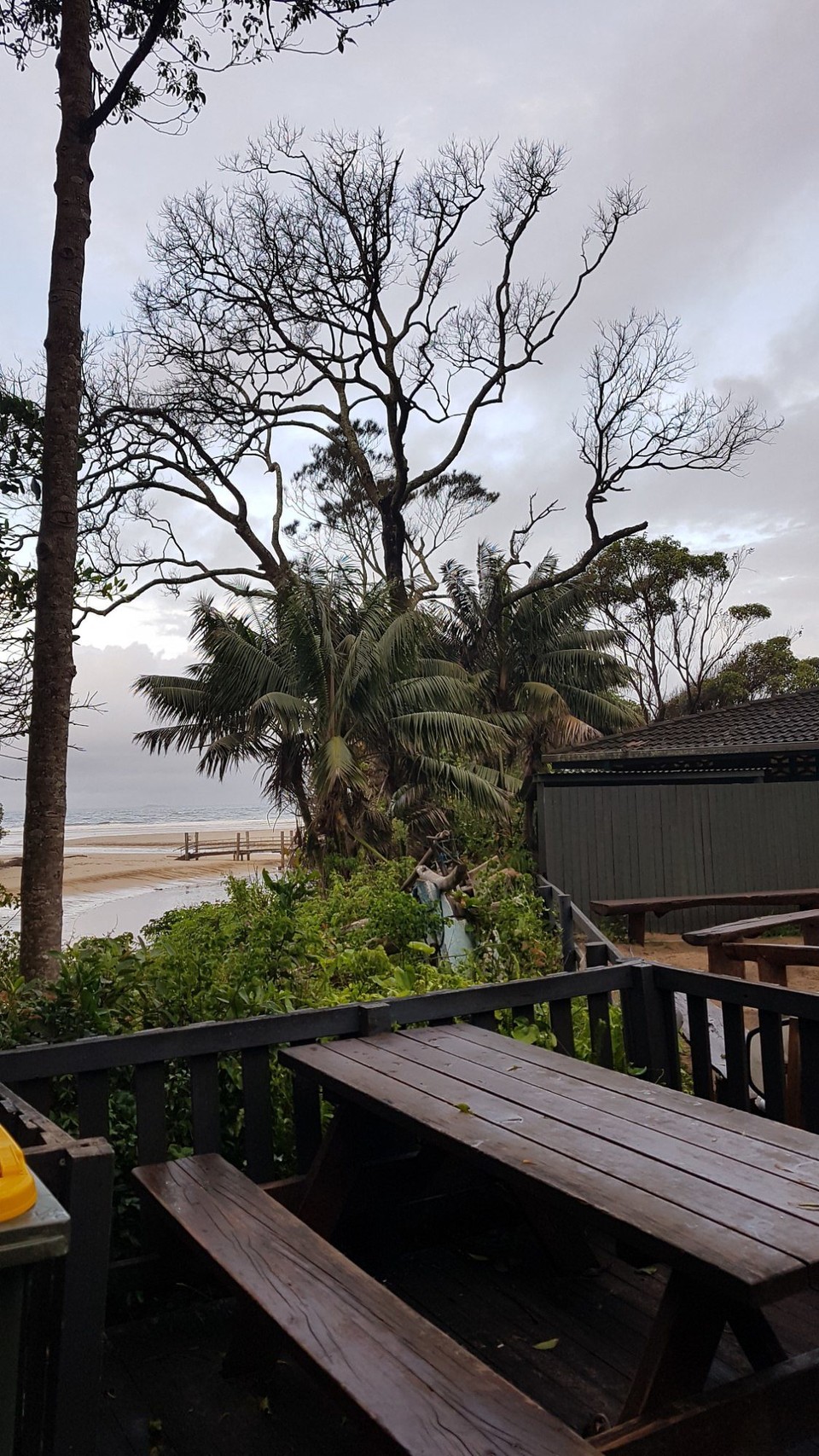 Australien - Arrawarra - Aussicht beim Frühstück.