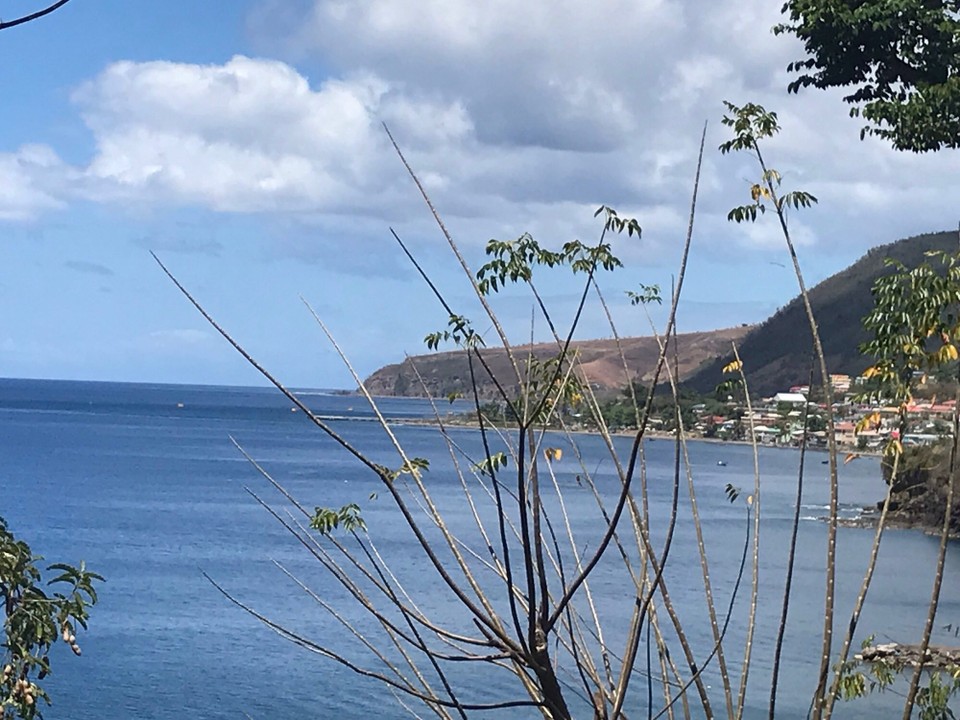Dominica -  - 