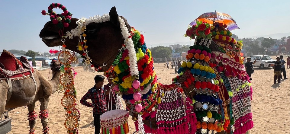 Indien - Pushkar - 