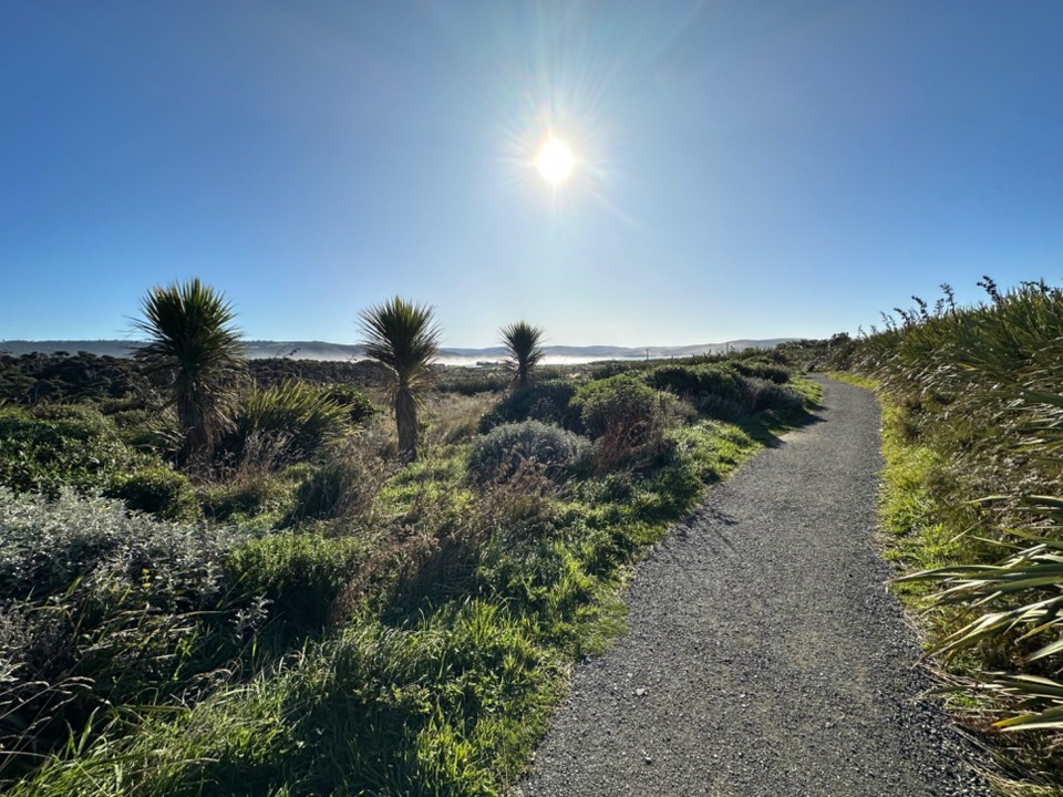 Neuseeland - Dunedin - 