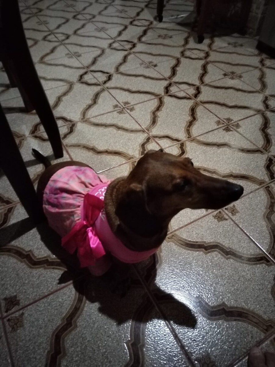 Costa Rica - San José - D‘Moahna het no es hübshes chleid übercho