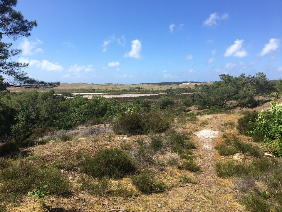 Niederlande - Schoorl - 