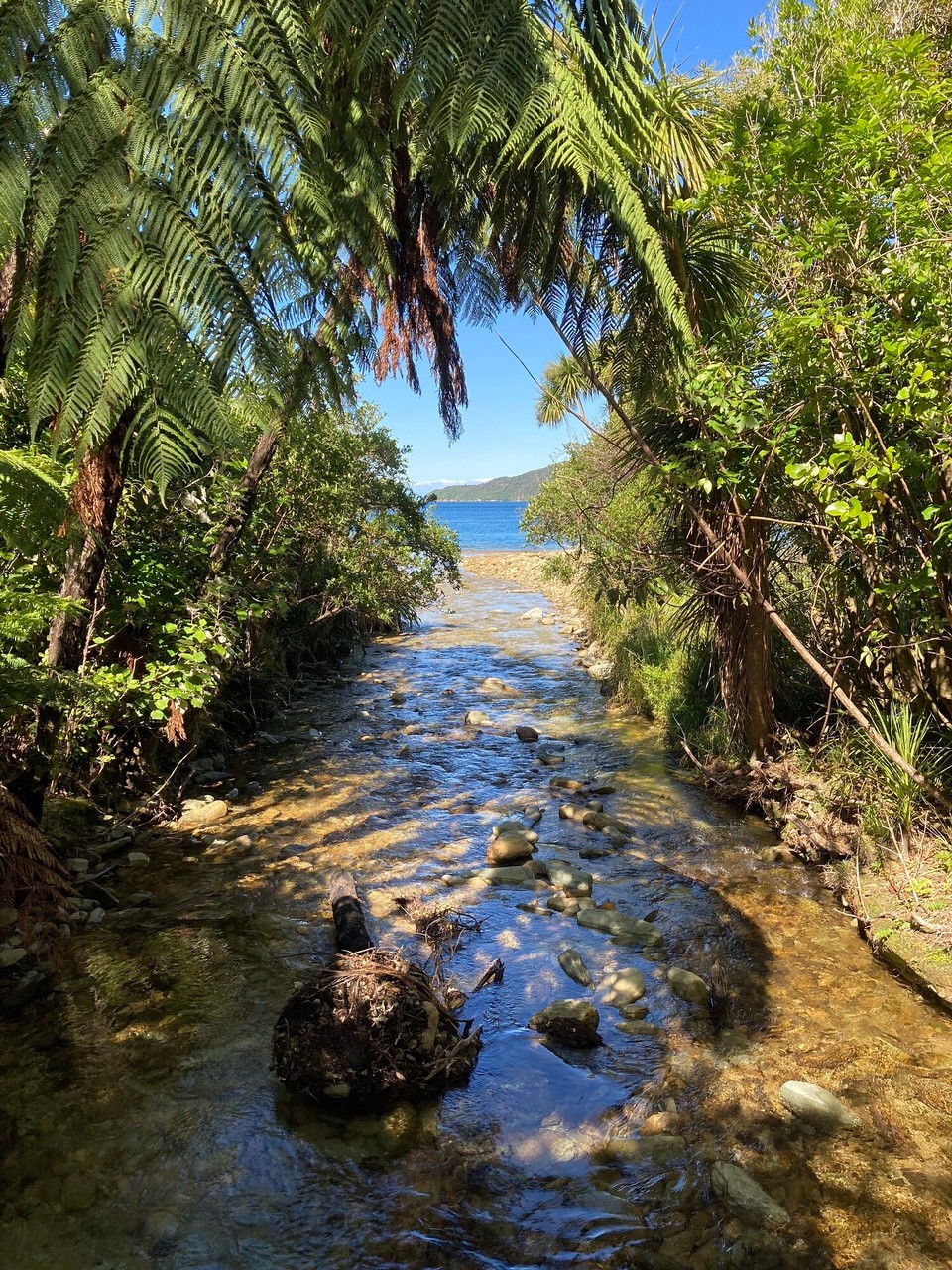 Neuseeland - Marlborough Sounds - 