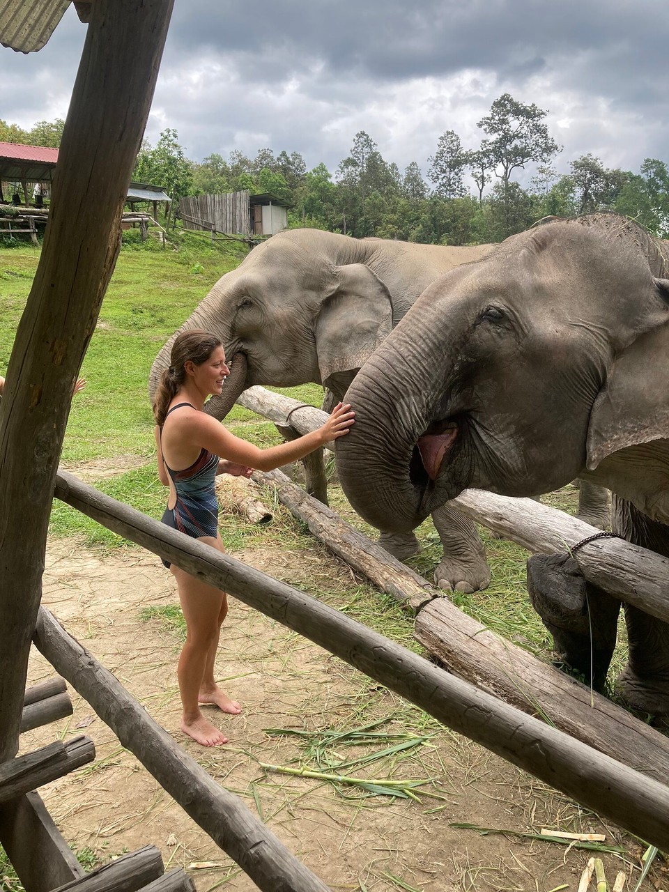 Thailand - Mae Wang - 