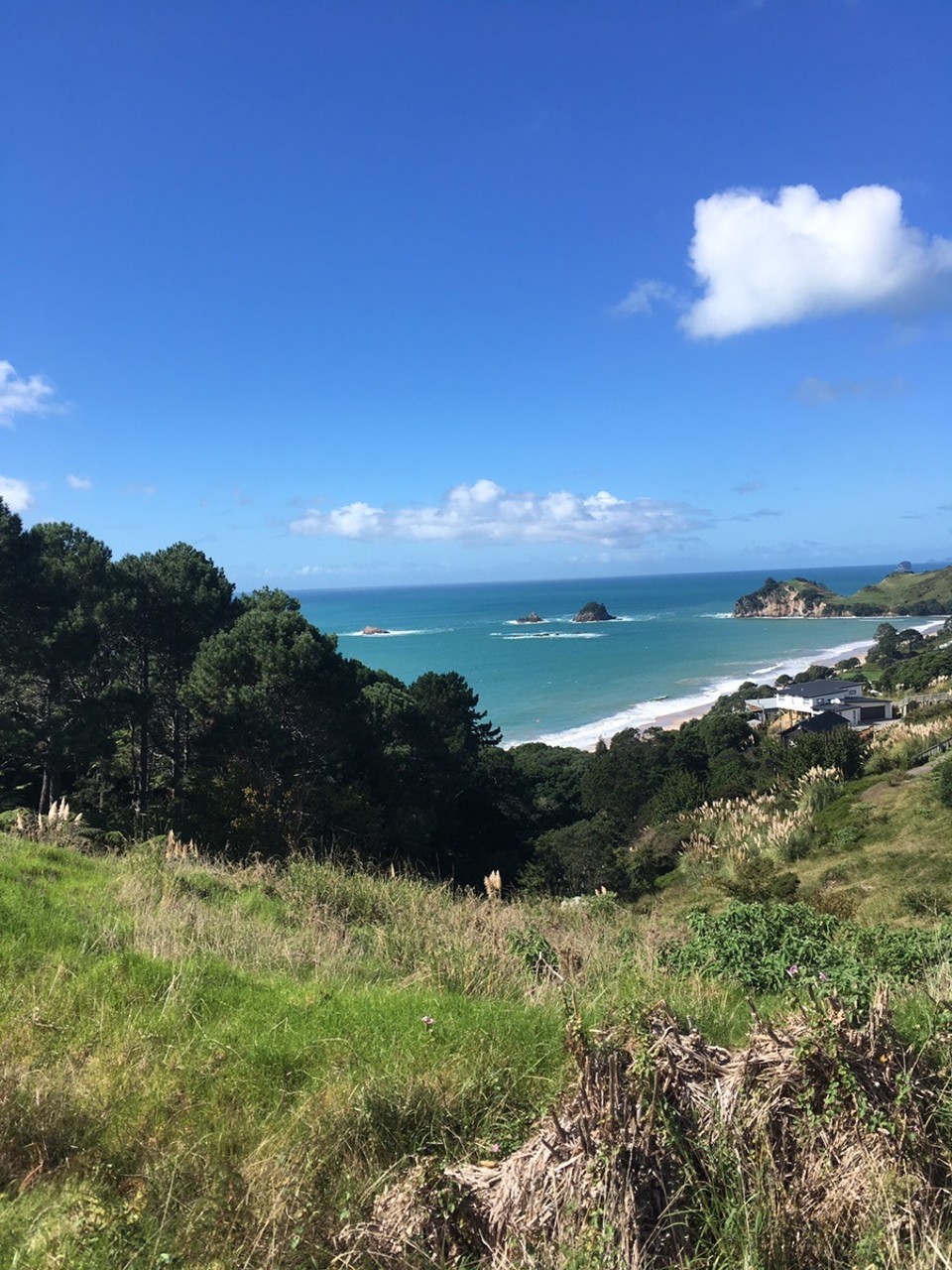 Neuseeland - Coroglen - 