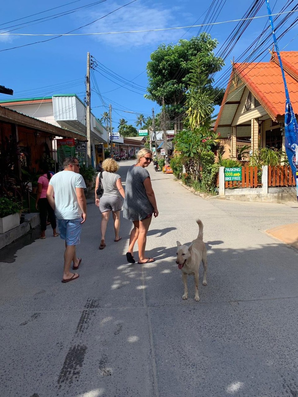 Thailand - Amphoe Ko Pha-ngan - 