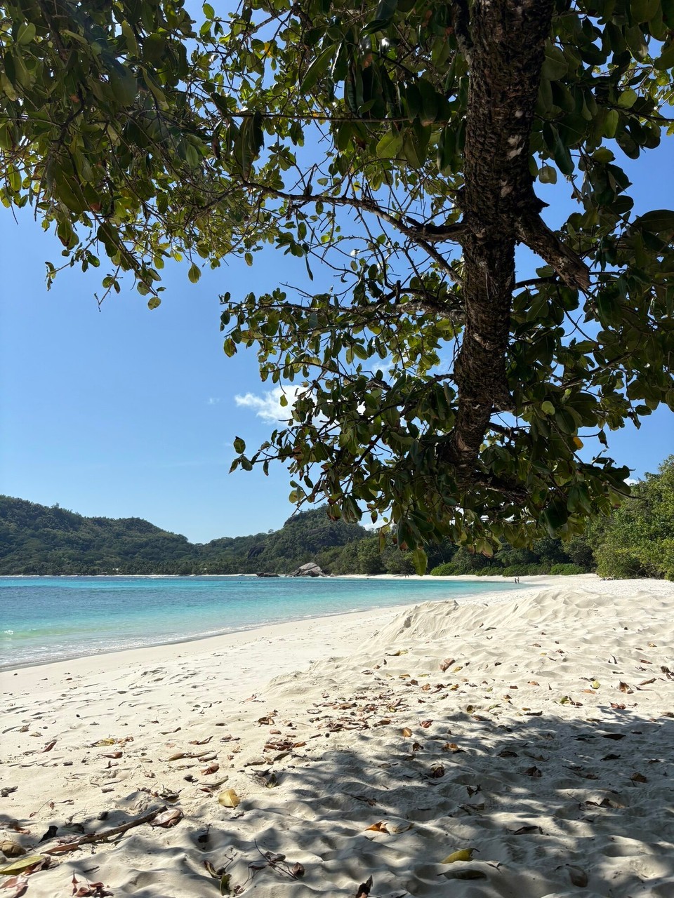Seychellen -  - Baie Lazare