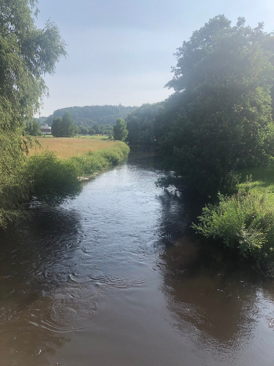Deutschland - Treuchtlingen - Endlich mal die Altmühl
