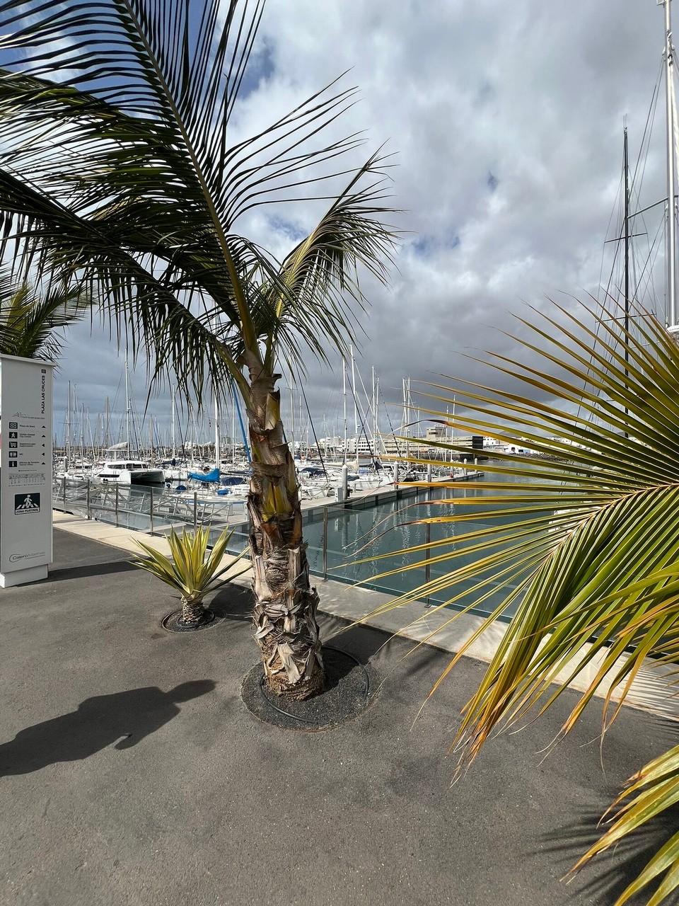 Spanien - Arrecife - 