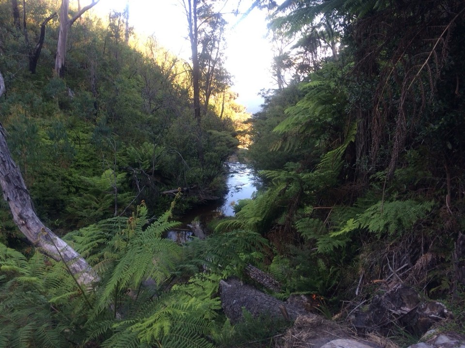 Australien - Katoomba - 
