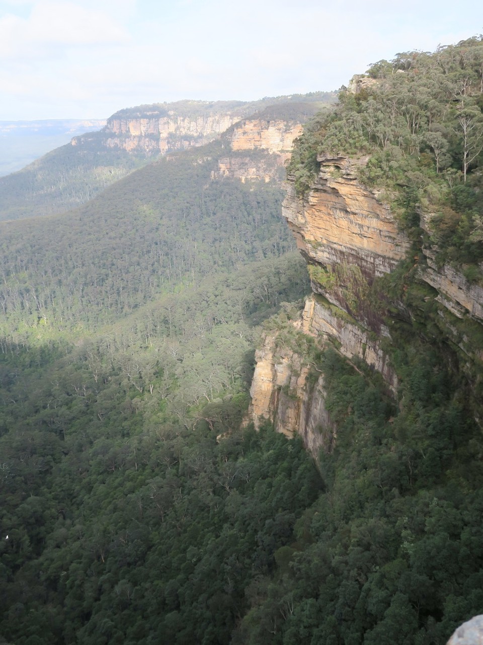 Australia - Blue Mountains National Park - 