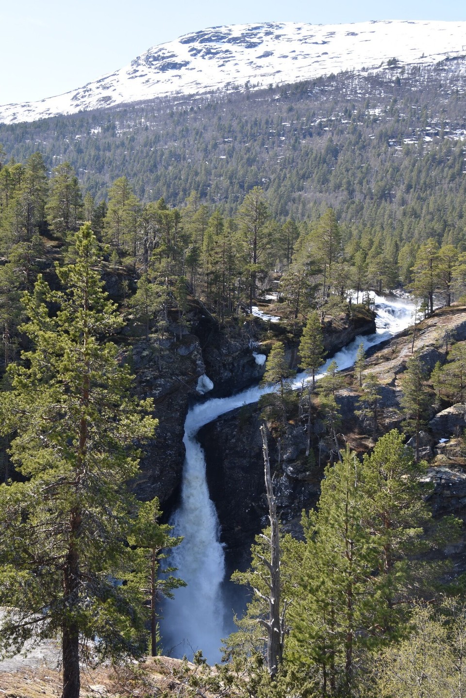 Norwegen - Bjorli - 