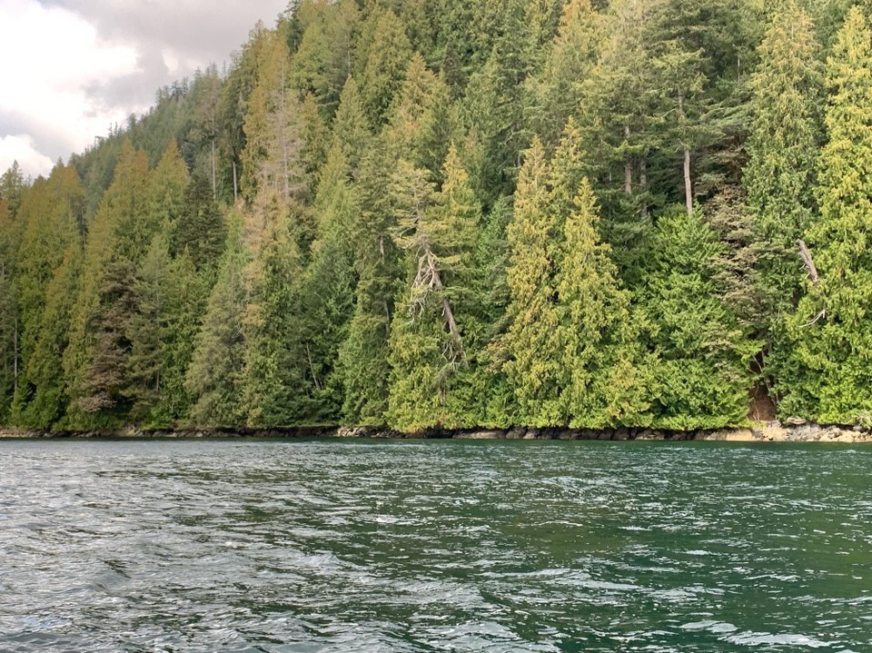 Kanada - Campbell River 11 - 