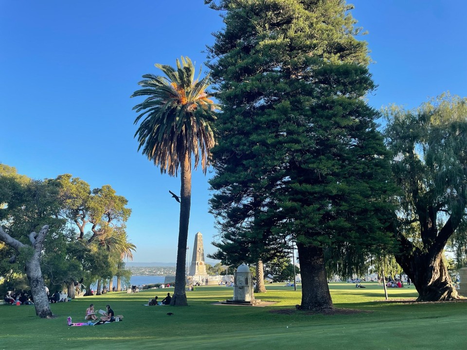 Australien - Kings Park - Oben angekommen haben wir dann unser eigentliches Ziel erreicht. Den Kings Park.