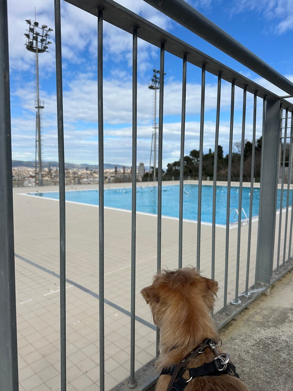 Spanien - Barcelona - 