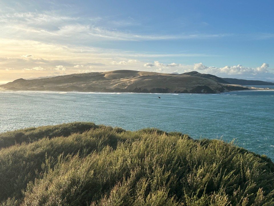Neuseeland - Waimamaku - … Aussicht