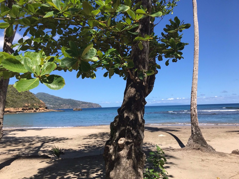 Dominica -  - 