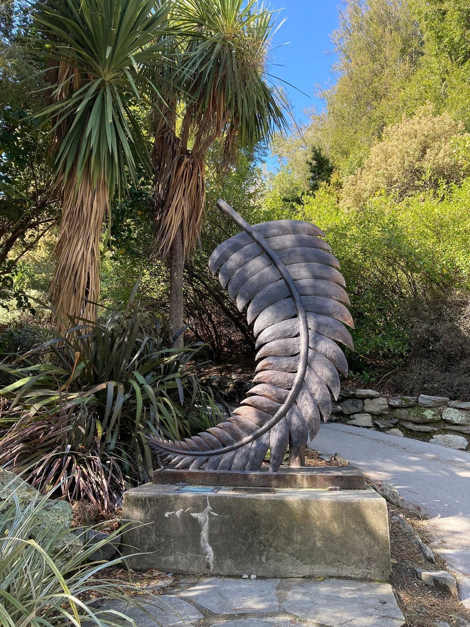 Neuseeland - Queenstown-Wakatipu Ward - Silverfern