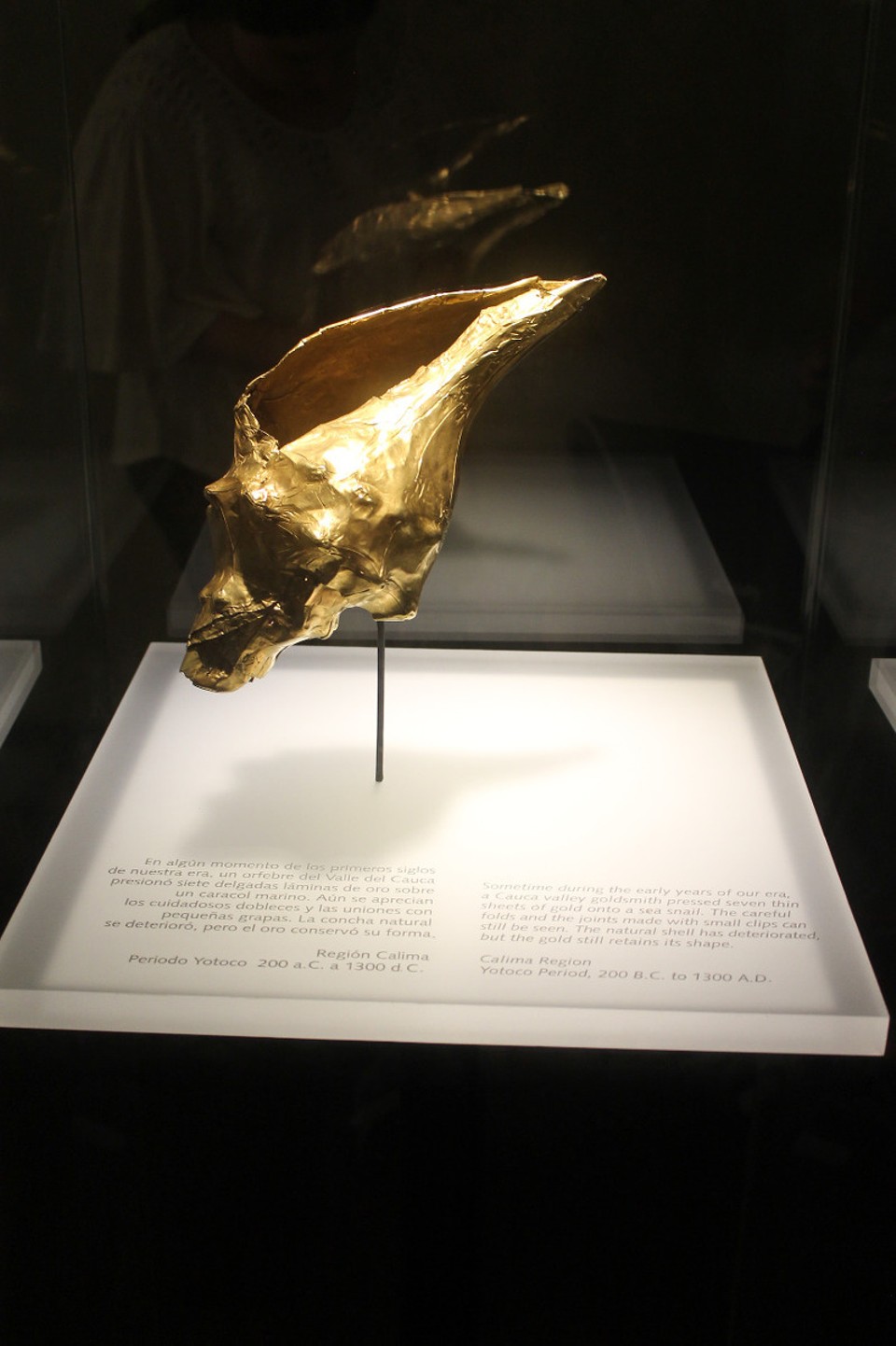 Colombia - Bogotá - Über 2000 Jahre alte vergoldete Muschel
