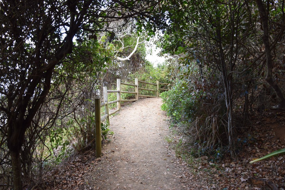 Australien - Port Macquarie - 
