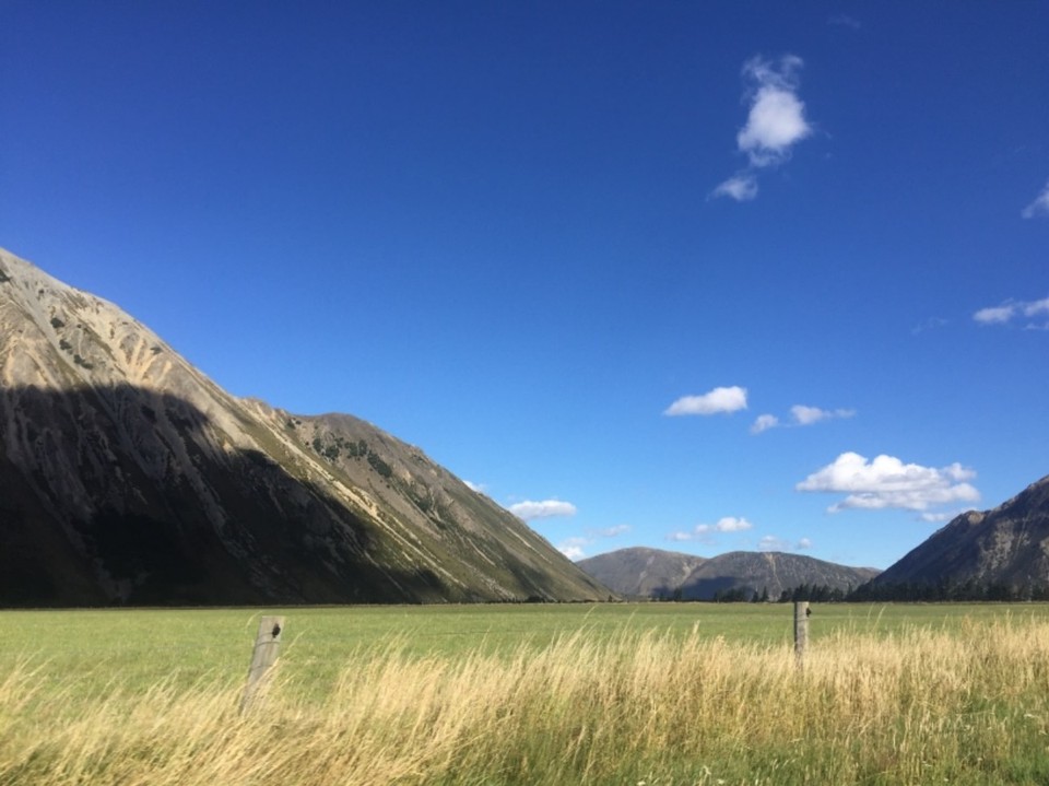 Neuseeland - Leeston - 