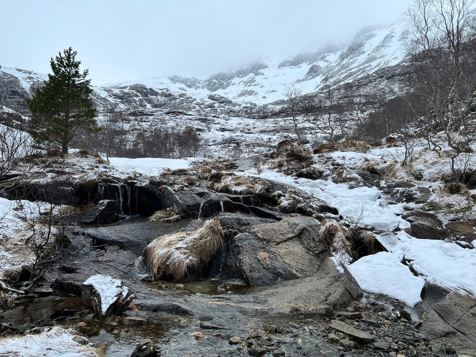 Norwegen - Elnesvågen - 