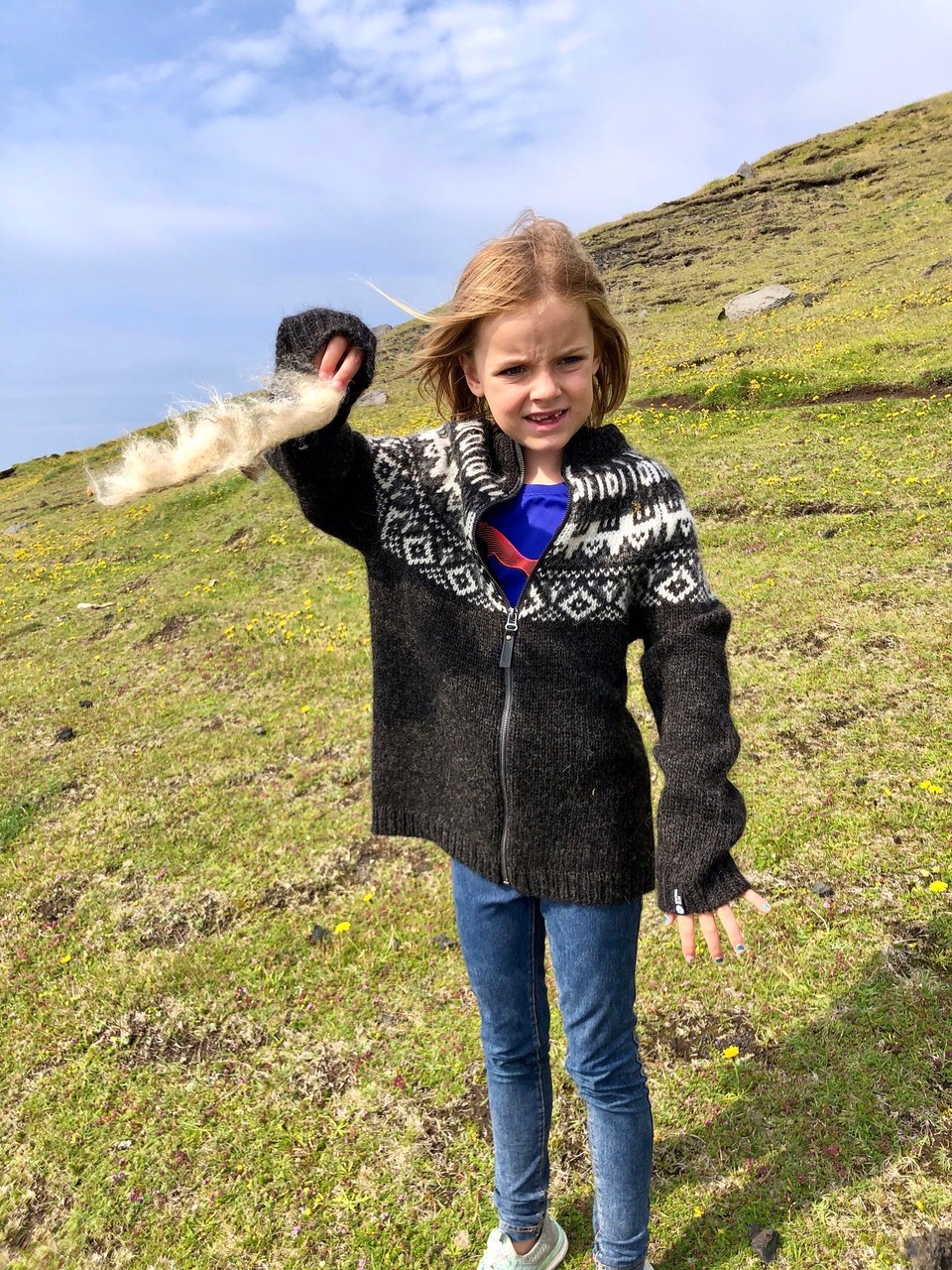 Island - Vestmannaeyjar - Hier findet man alles mögliche… Freia hat abgefallene Schafwolle gefunden…