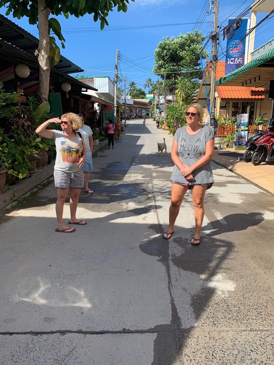 Thailand - Amphoe Ko Pha-ngan - 