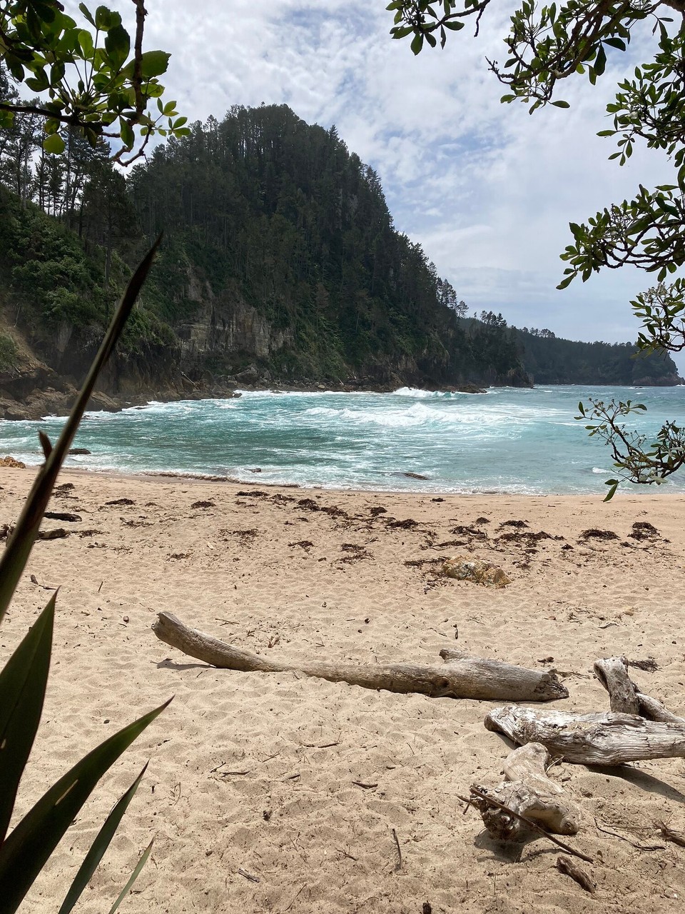 Neuseeland - Whangamata - Pokohino Beach 🤩