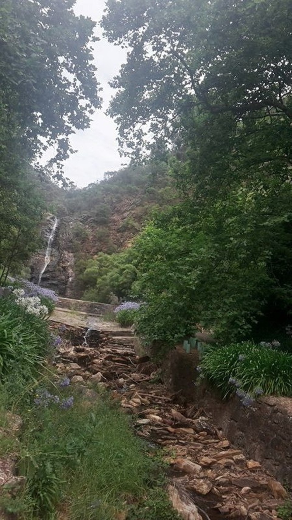 Australia - Adelaide - The little waterfall in the back is Waterfall Gully. 