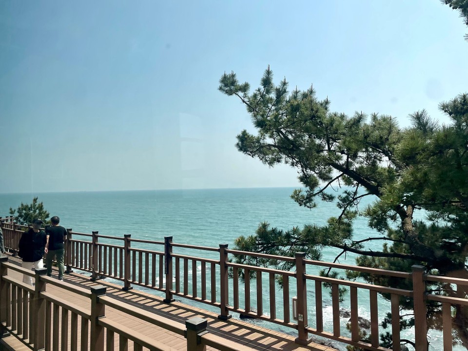 대한민국 - 부산광역시 - 