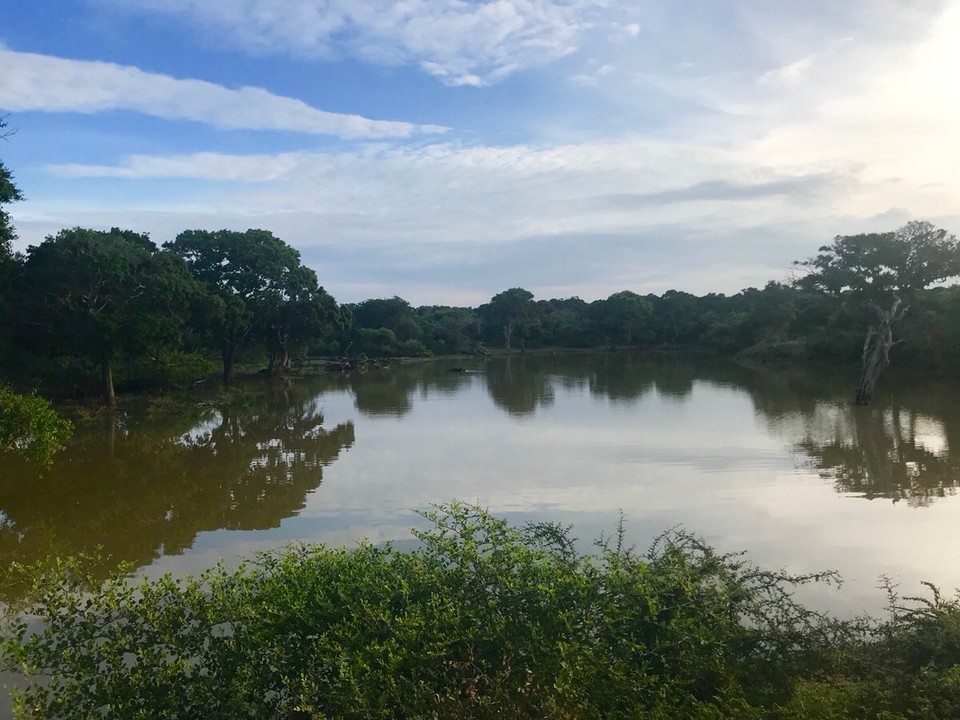 Sri Lanka -  - 