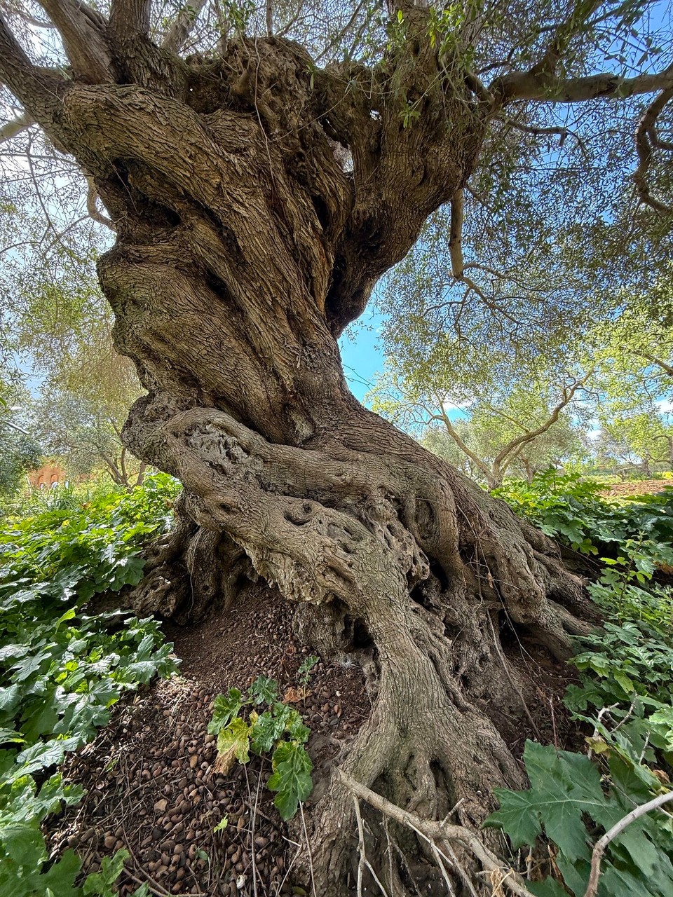 Italien - Marsala - Alt