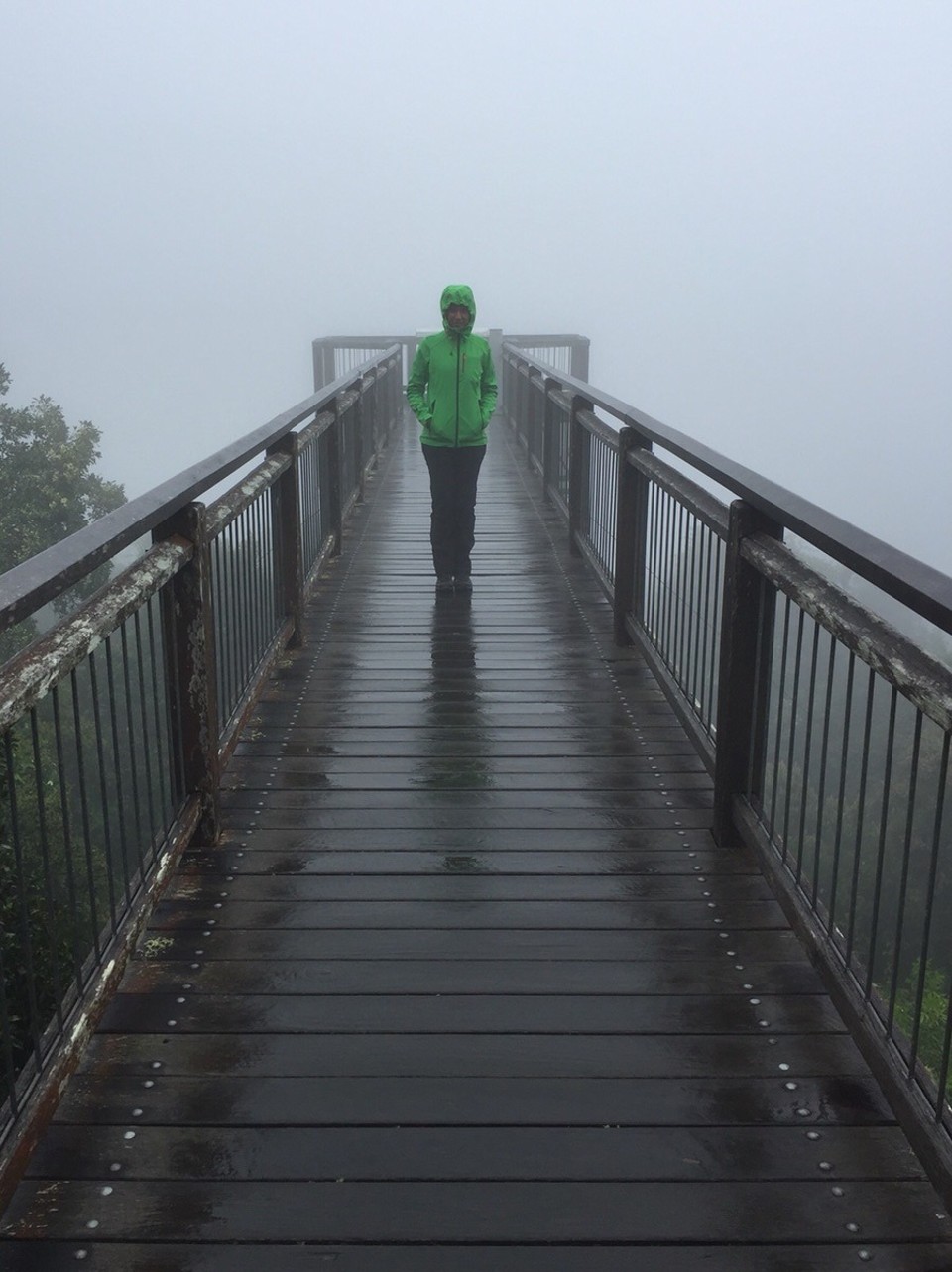  - Australia, Dorrigo Rainforest Centre - 