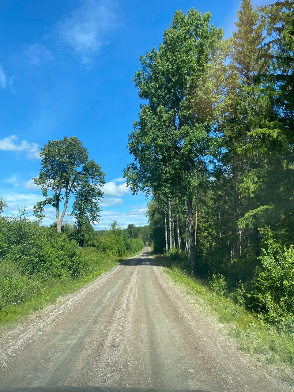 Schweden - Glava - 28 km solche Strassen… 
Das ist immerhin von Alosen nach Zug und wieder zurück 