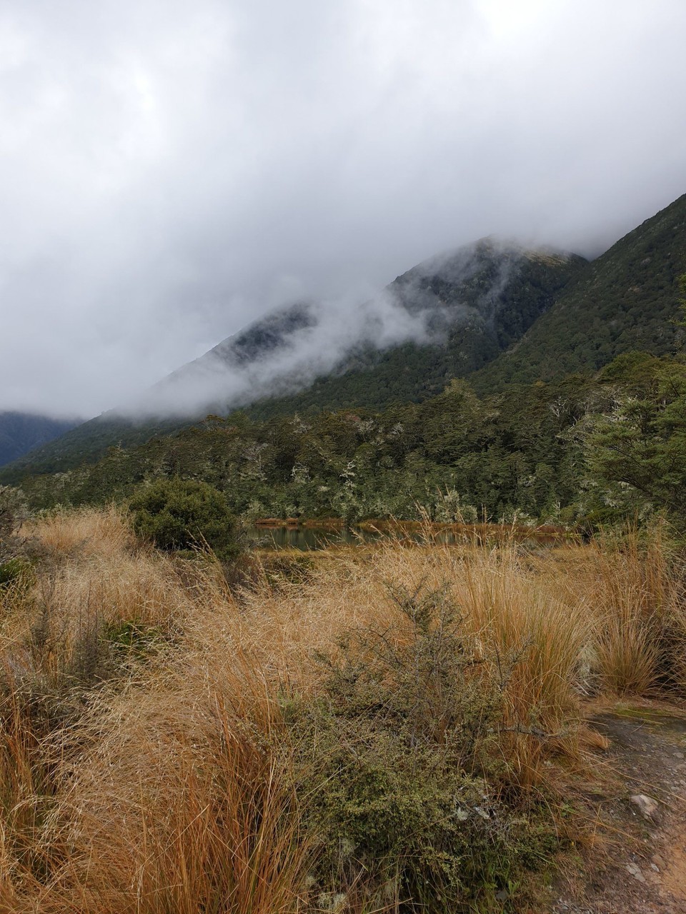 Neuseeland - Kaikoura - 