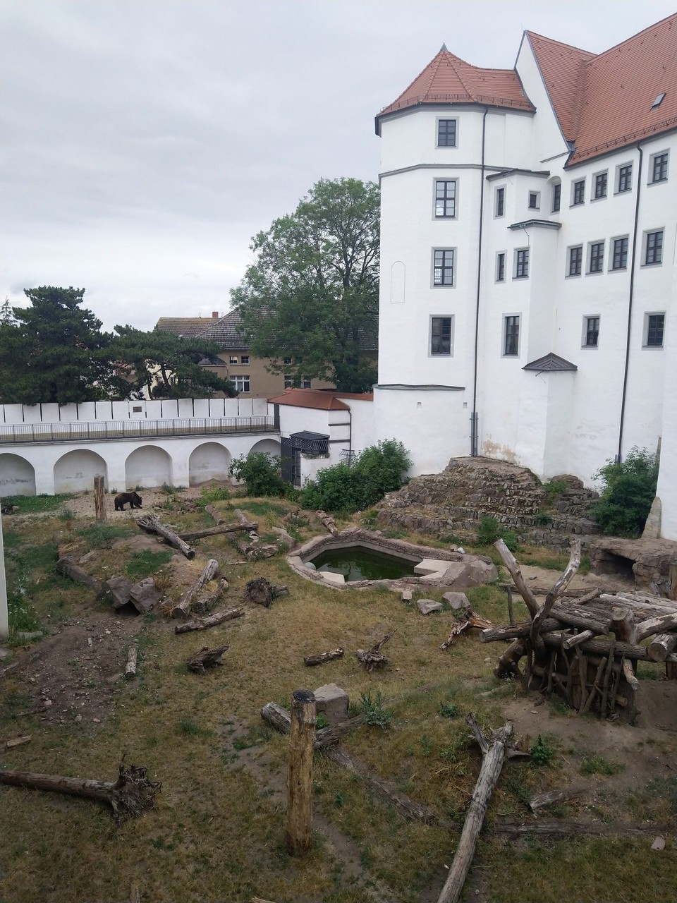Deutschland - Torgau - Einen Bärenzwinger vorm Schloß mit echten Bären