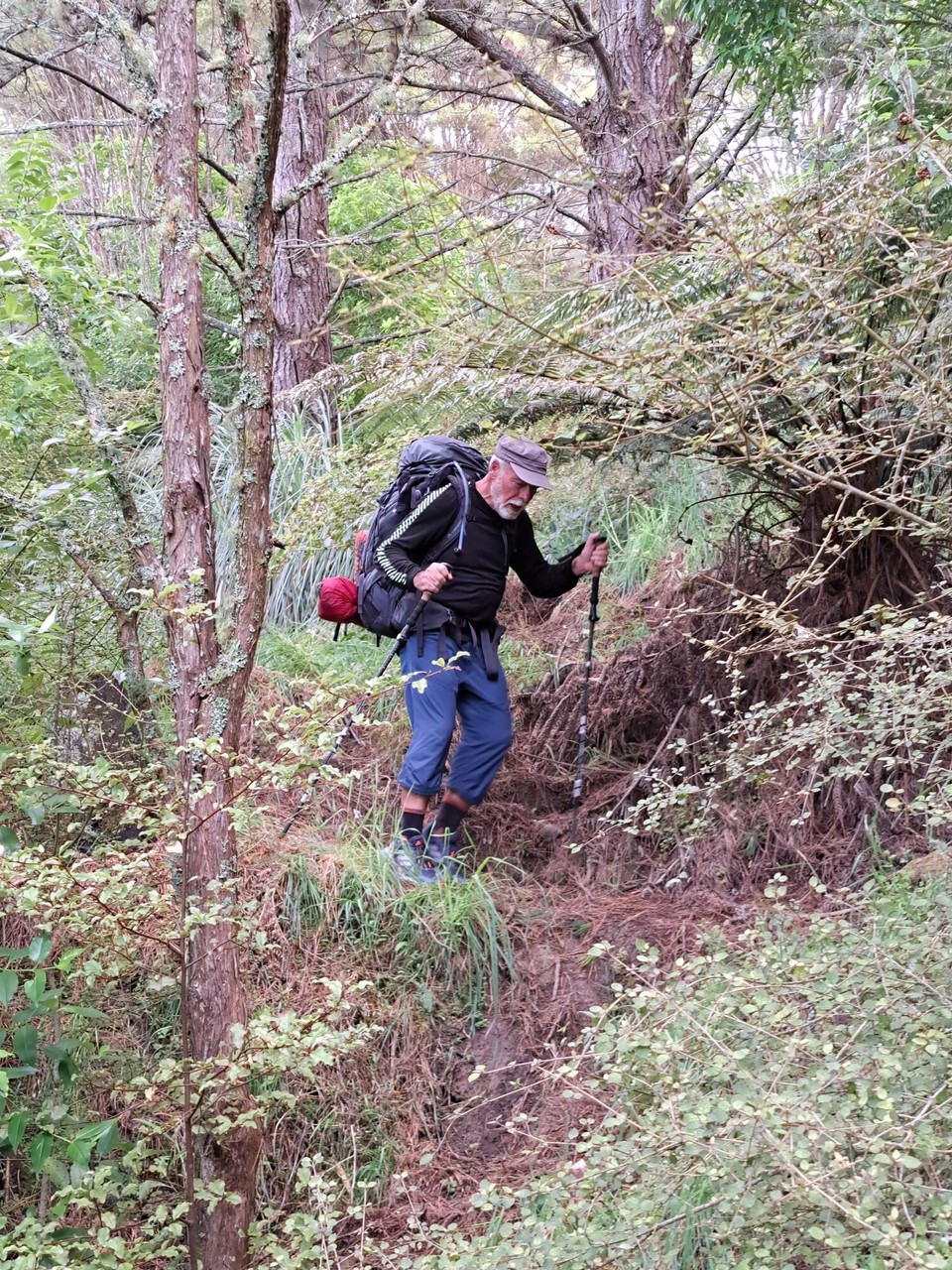 Neuseeland - Rangiriri - 