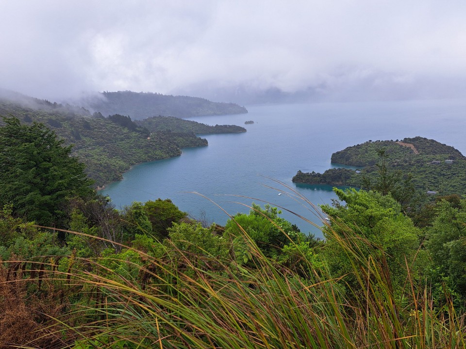 Neuseeland - Havelock - 