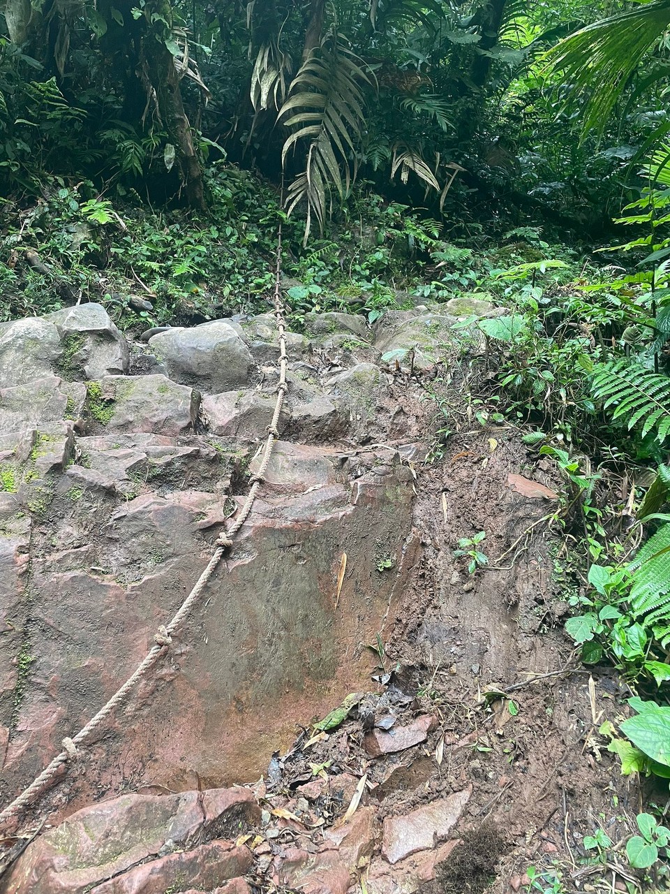 Panama -  - Der letzte Wasserfall war dann nur unter Seileinsatz zu erreichen 🥵 
