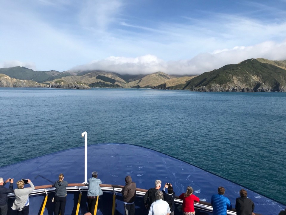 Neuseeland - Picton - Fahrt nach Picton